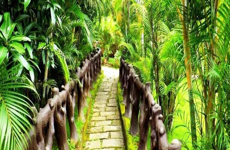 Crecent Residency, Wayanad 3